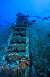 Echelle du Giannis D