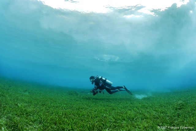 Grass on the Pantar beach